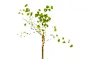 3X0A9329 .webp