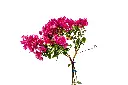 3X0A9298-1.webp