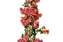 3X0A9301-1.webp
