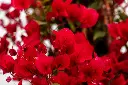 3X0A9533 .webp