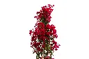 3X0A9530 .webp