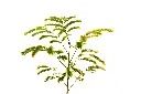 3X0A9737 .webp