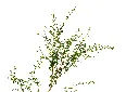 3X0A9745 .webp