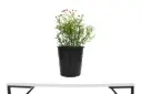 BABE ROSES 25CM بيبي روز 
