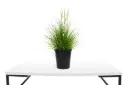 ##PENNISETUM GREEN  25CM حلفا خضراء 25سم