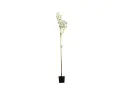 SUFSAF 25 CM